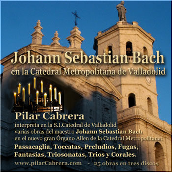  ver contenido del cd 